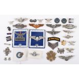 Selection of Mostly American Air Force Wings and Insignia