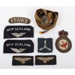 New Zealand Volunteer in Royal Air Force Insignia