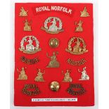 Board of Badges Relating to the Norfolk / Royal Norfolk Regiment