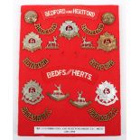 Board of Badges Relating to the Bedfordshire & Hertfordshire Regiment