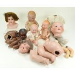 Collection of A.M Dream Babies and other dolls, German 1920s,