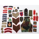 Grouping of Cloth Insignia