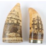 2x Large Whales Teeth with Engraved Scrimshaw Scenes