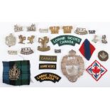 Selection of Canadian Military Badges