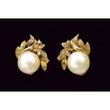 South Sea pearl gold stud earrings