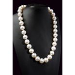 12 -14 mm white Australian pearl necklace