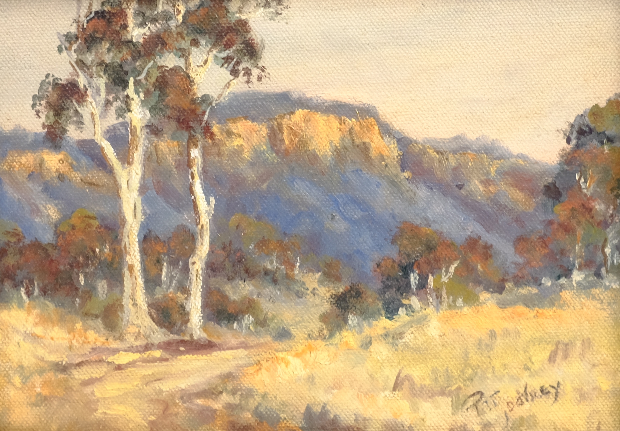 Pat Godfrey (Australian 1934-): 'Track in Megalong Valley' New South Wales, oil on board signed, tit