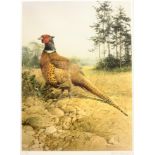 Edwin Penny (British 1930-): Pheasant, limited edition print pub. Venture Prints signed and numbered