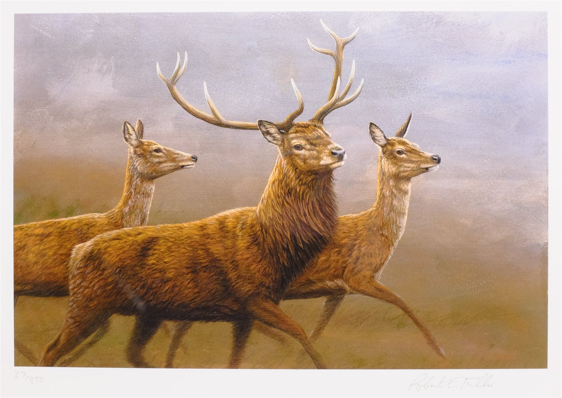 Robert Fuller (British 1972-): Running Deer, limited edition colour print signed and numbered 37/850 - Image 2 of 4