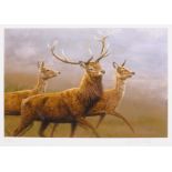 Robert Fuller (British 1972-): Running Deer, limited edition colour print signed and numbered 37/850