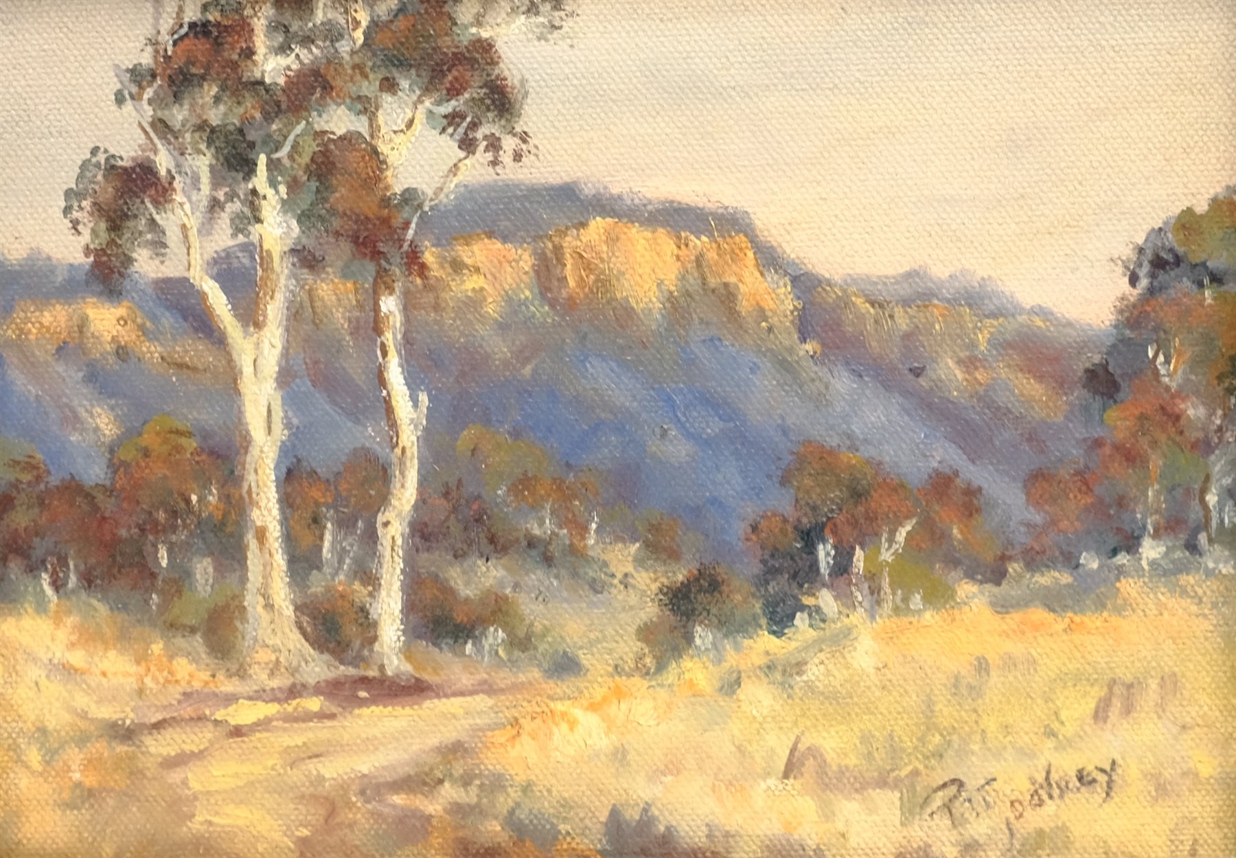 Pat Godfrey (Australian 1934-): 'Track in Megalong Valley' New South Wales, oil on board signed, tit - Image 2 of 6