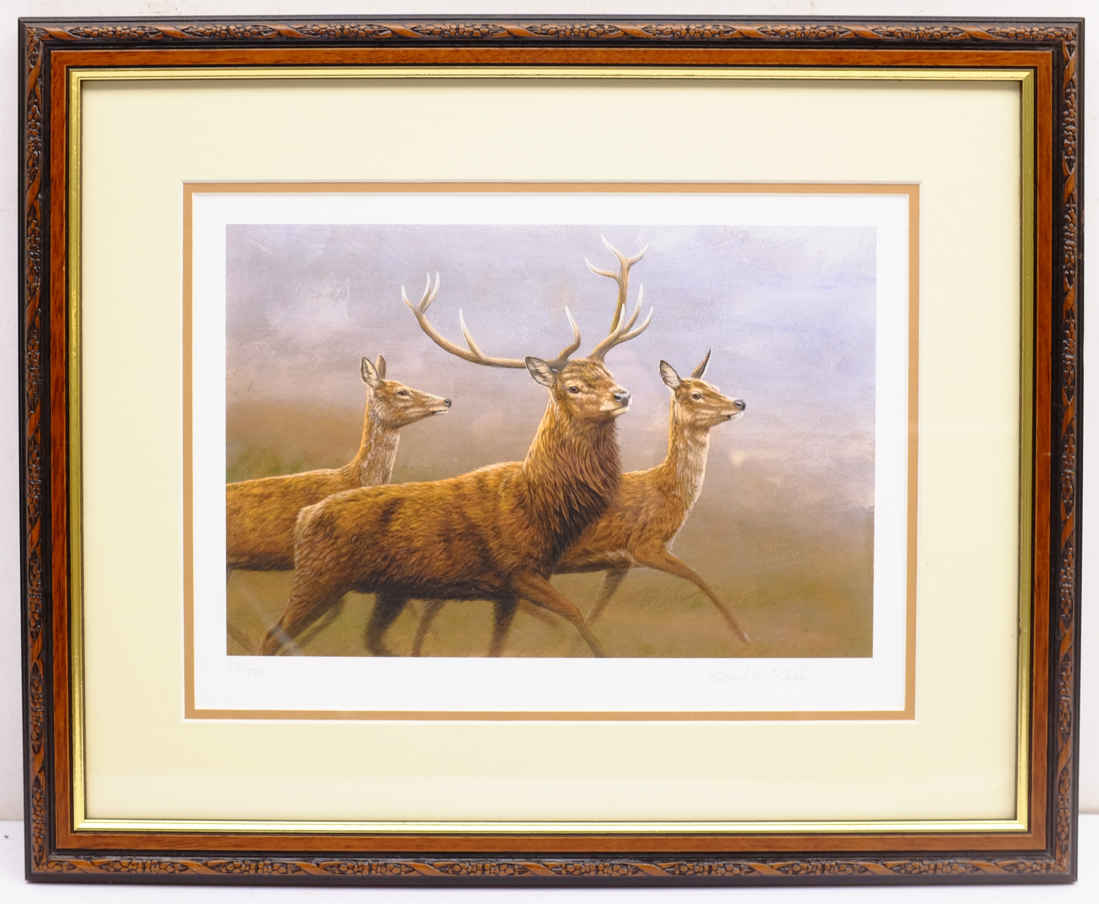 Robert Fuller (British 1972-): Running Deer, limited edition colour print signed and numbered 37/850 - Image 4 of 4