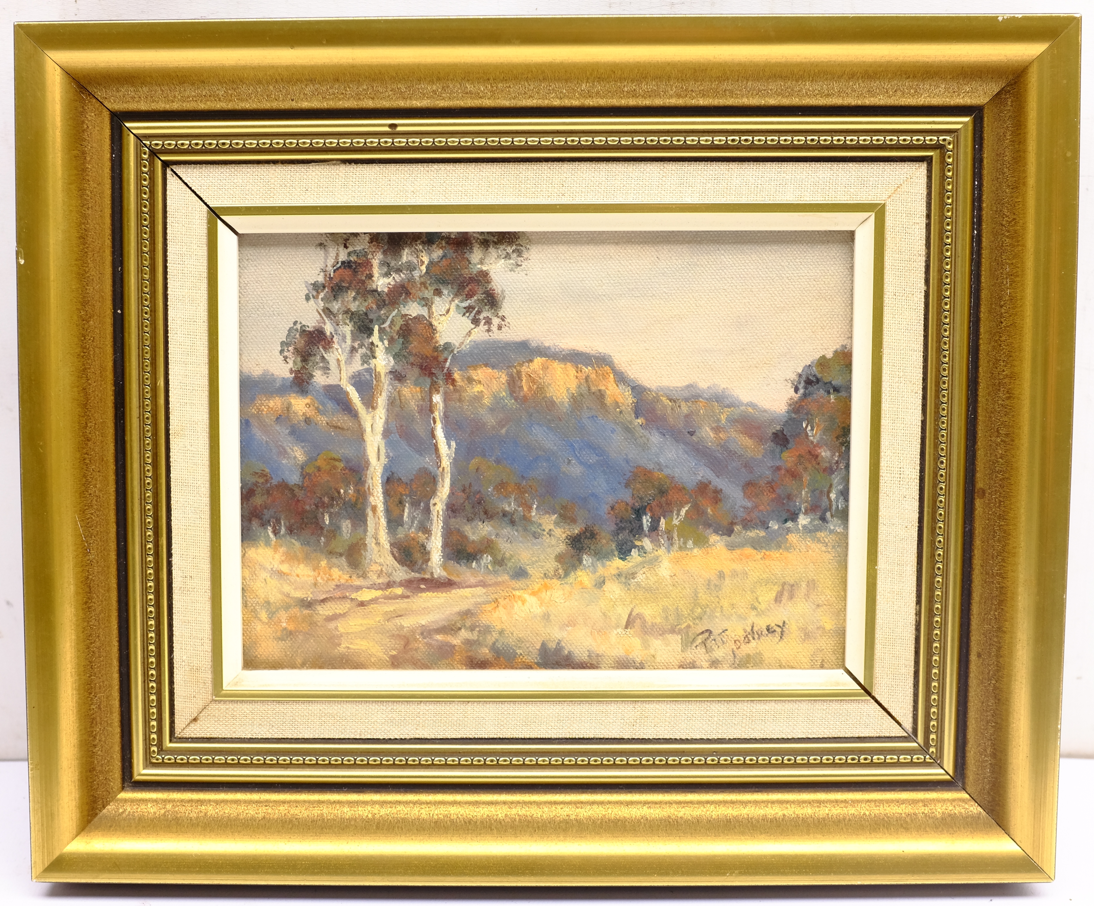 Pat Godfrey (Australian 1934-): 'Track in Megalong Valley' New South Wales, oil on board signed, tit - Image 5 of 6