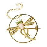 Edwardian gold dragonfly circular brooch