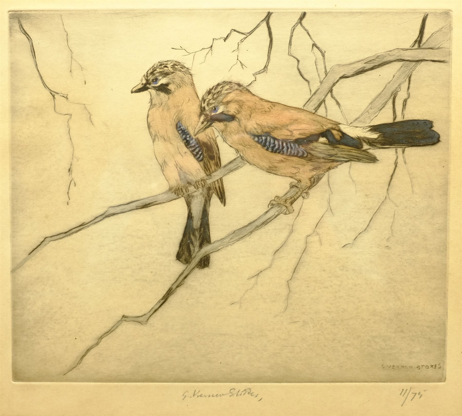 George Vernon Stokes (British 1873-1954): Jay Birds on a Branch