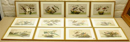Chinese School (Early 20th century): Bird Studies
