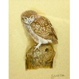 Robert E Fuller (British 1972-): Owl Perched on a Tree Trunk