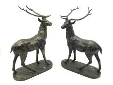 Pair standing stags (measurements per item)