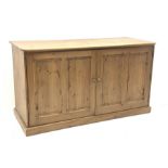 Large pine cupboard enclosed by panelled doors, plinth base, W158cm, H86cm, D62cm