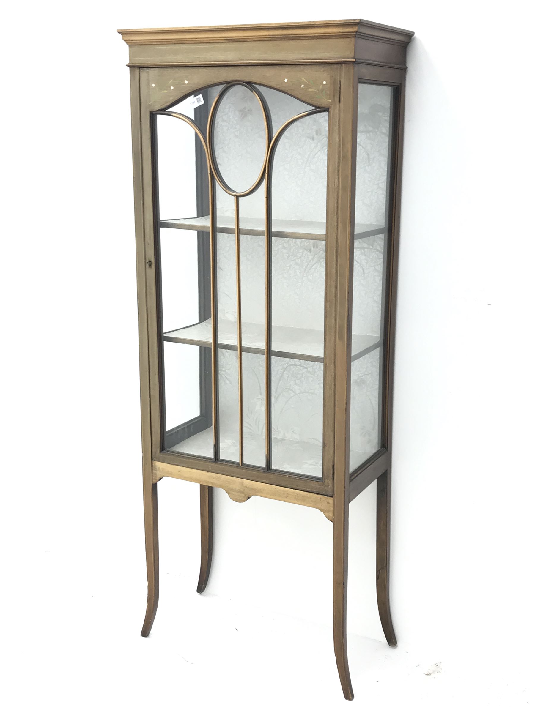 Edwardian inlaid mahogany display cabinet, astragal glazed door painted with foliate enclosing two f