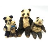 Four English panda bears including 1930s night-dress case