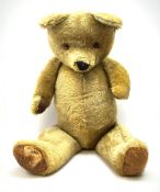 Very large Irish Tara bear c1950s with plush covered body