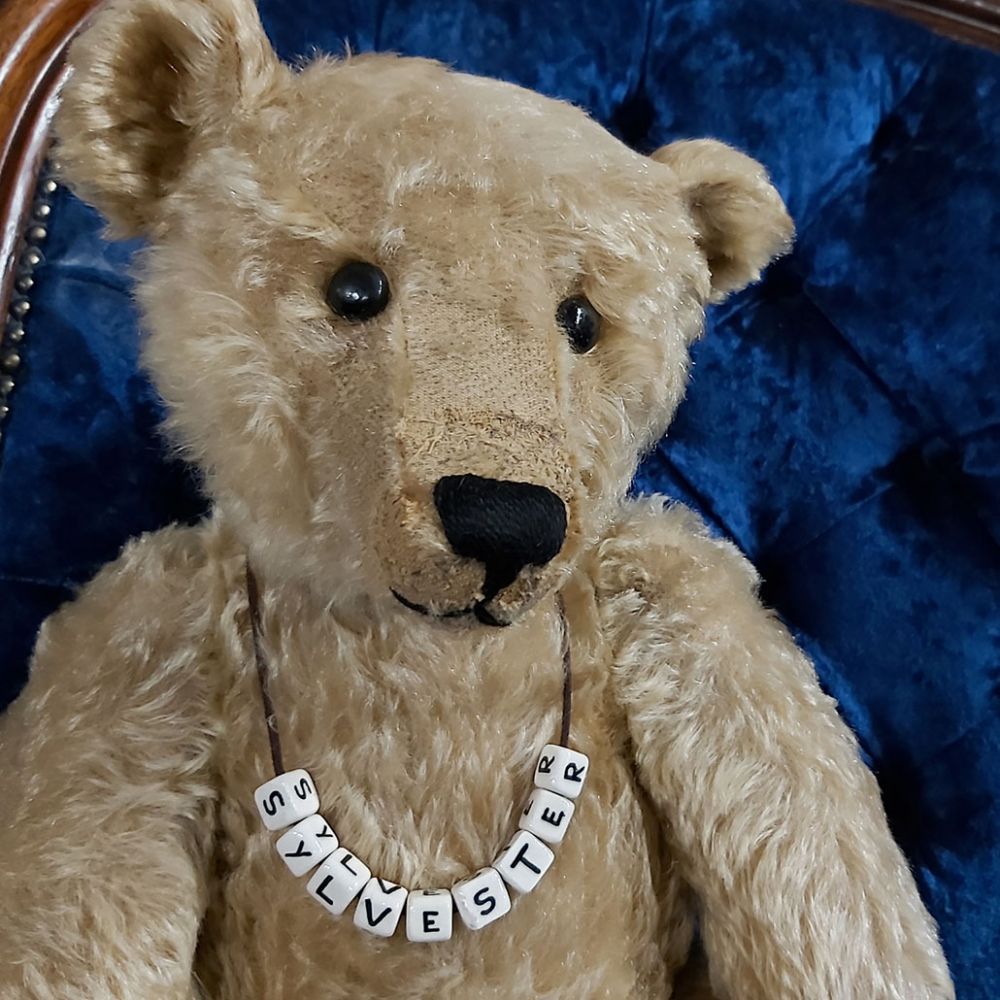 The Teddy Bear Auction