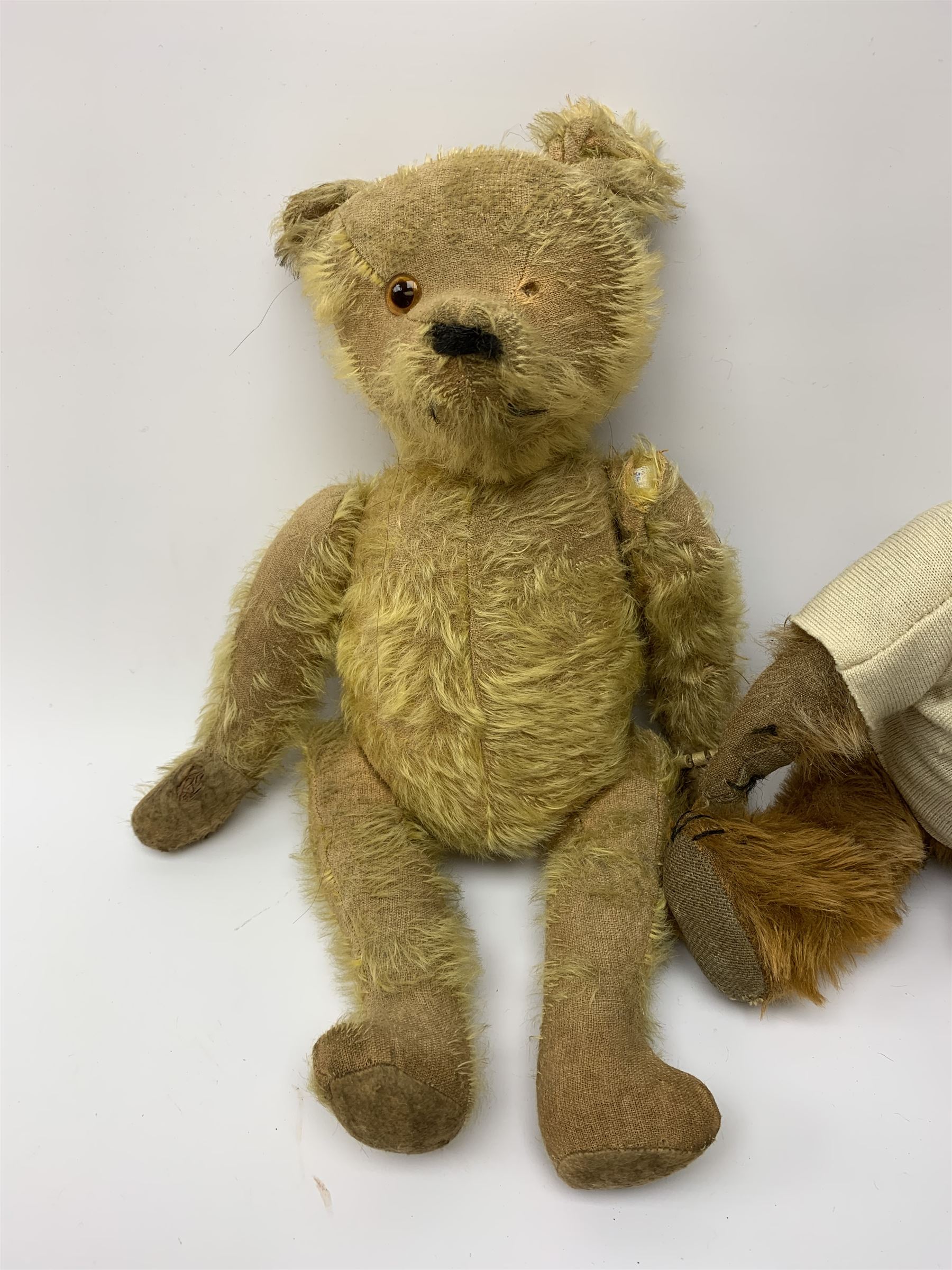 Early 20th century cinnamon coloured bear c1920 - Image 2 of 6