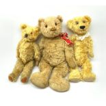 Farnell Invicta teddy bear
