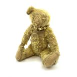 Early 20th century English teddy bear