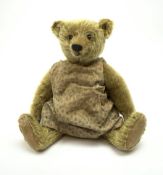 Early 20th century German Steiff teddy bear c1910 with wood wool filled humped back mohair body