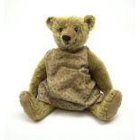 Early 20th century German Steiff teddy bear c1910 with wood wool filled humped back mohair body