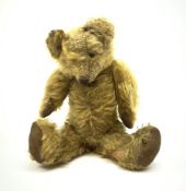 Early 20th century English teddy bear