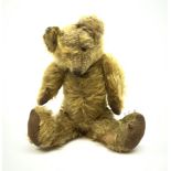 Early 20th century English teddy bear