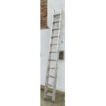 Abru Starmaster DIY two section ladders