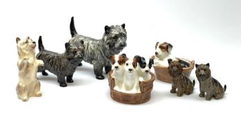 A group of Royal Doulton dog figures