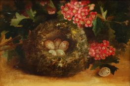 Circle of Vincent Clare (British 1855-1930): Study of a Chaffinch Nest