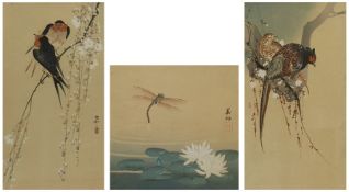 Chinese School (Early 20th century): Birds on a Branch and Dragonfly