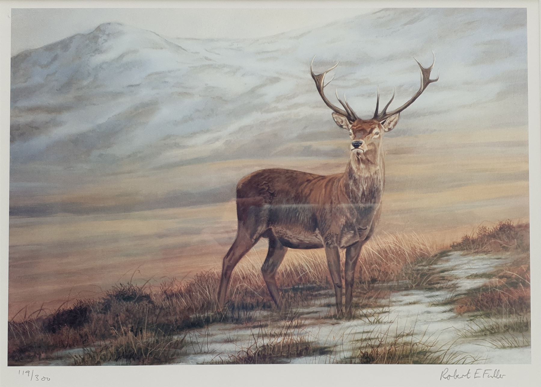 Robert E Fuller (British 1972-): Highland Stag