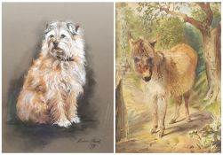 Susan Maud (British 20th century): 'Pip' - Portrait of a Terrier