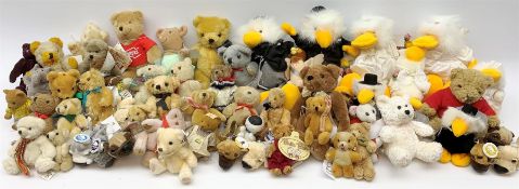 Over fifty small teddy bears including eight Nici