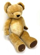 Very large Merrythought teddy bear with swivel jointed head