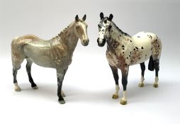 A Beswick figure of an Appaloosa Stallion