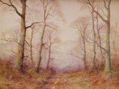 John Caesar Smith (British 1930-): Woodland Track