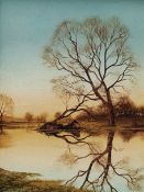 Neil Spilman (British 1951-): Tree Reflection