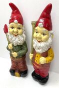 Two various garden Gnomes