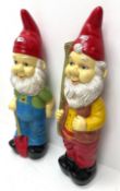 Two various garden Gnomes