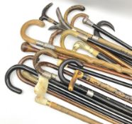 A collection of assorted walking sticks and canes