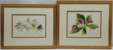 J Byott (British 20th century): Floral Studies, pair watercolours signed, max 22cm x 28cm (2)