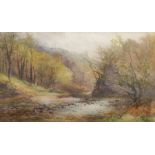 JW (British 19th/20th century): 'In The Gorge Lydford Dartmoor', watercolour signed with monogram, t